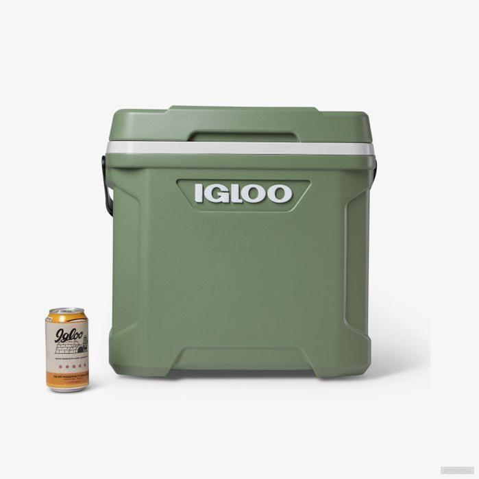IGLOO Prenosna hladilna skrinja ECOCOOL 30-PRIROCEN.SI