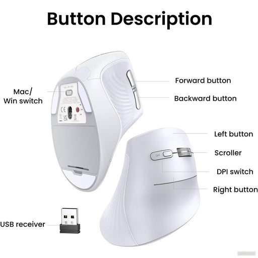 Ugreen brezžična ergonomska vertikalna miška z Bluetooth in Wi-Fi povezavo - bela-PRIROCEN.SI
