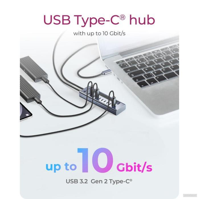 IcyBox IB-HUB1450-C31 10-portni hub vmesnik USB-C 3.2-PRIROCEN.SI