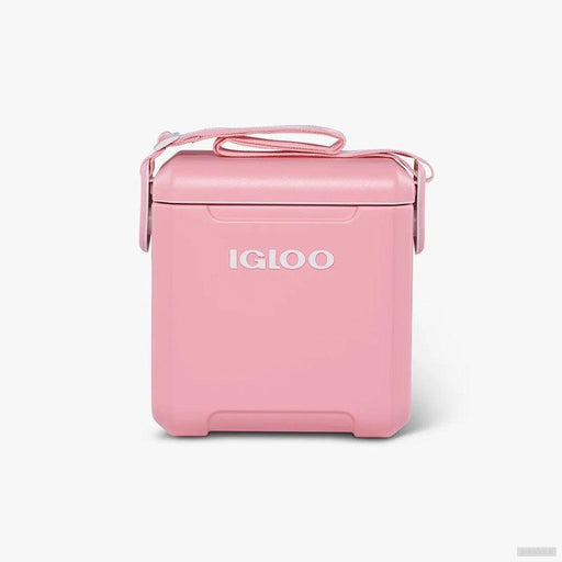 IGLOO Hladilna torba Tag Along 10l apricot-PRIROCEN.SI