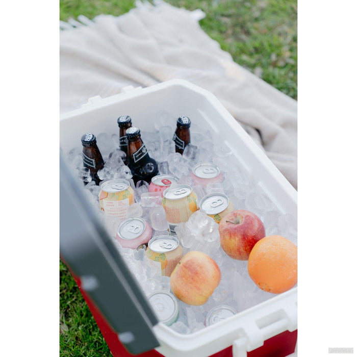 IGLOO Prenosna hladilna skrinja Latitude 52 rdeča-PRIROCEN.SI