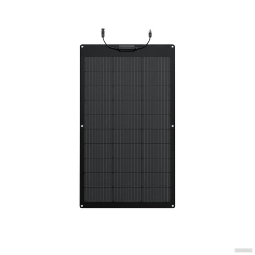 EcoFlow 100W fleksibilni panel solarnih sončnih celic-PRIROCEN.SI